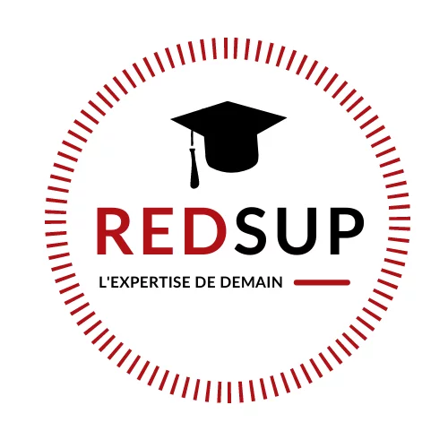 redsup-formation-blog.fr